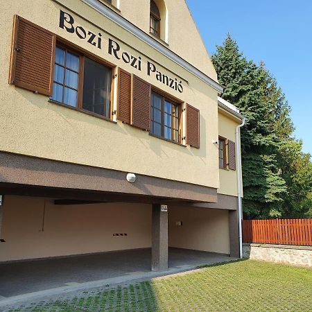 Hotel Bozi Rozi Panzio Fertőboz Zewnętrze zdjęcie