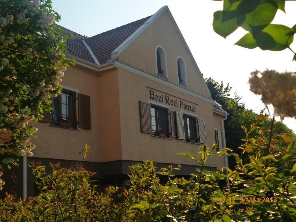 Hotel Bozi Rozi Panzio Fertőboz Zewnętrze zdjęcie
